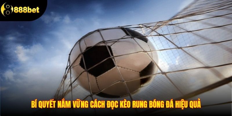 Bí quyết nắm vững cách đọc kèo rung bóng đá hiệu quả