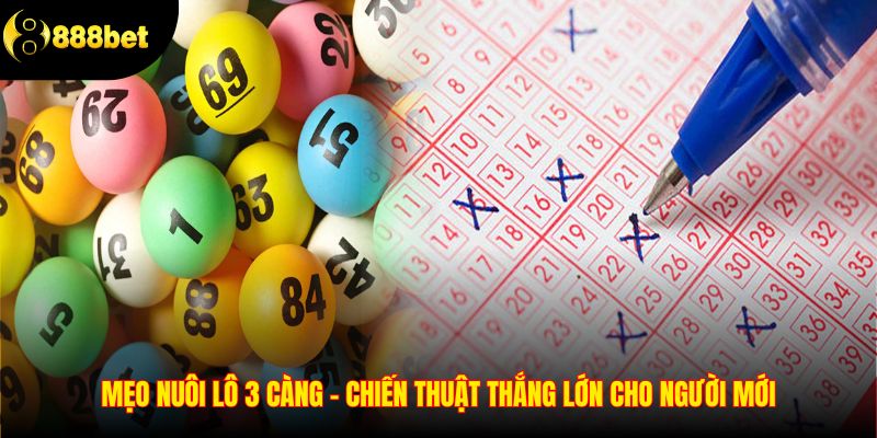Mẹo Nuôi Lô 3 Càng – Chiến Thuật Thắng Lớn Cho Người Mới