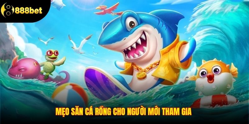 Mẹo săn cá rồng cho người mới tham gia 