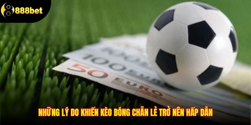 Những lý do khiến kèo bóng chẵn lẻ trở nên hấp dẫn