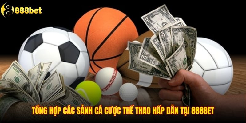 Tổng hợp các sảnh cá cược thể thao hấp dẫn tại 888BET